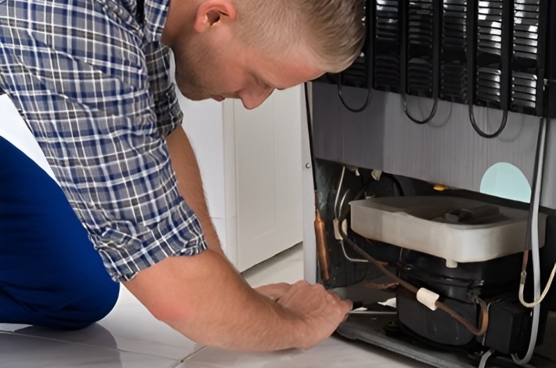 Wine Cooler and Cellar Repair in Hialeah